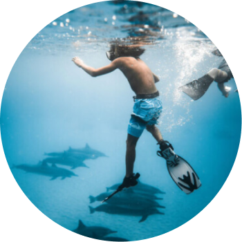 Compare and book court